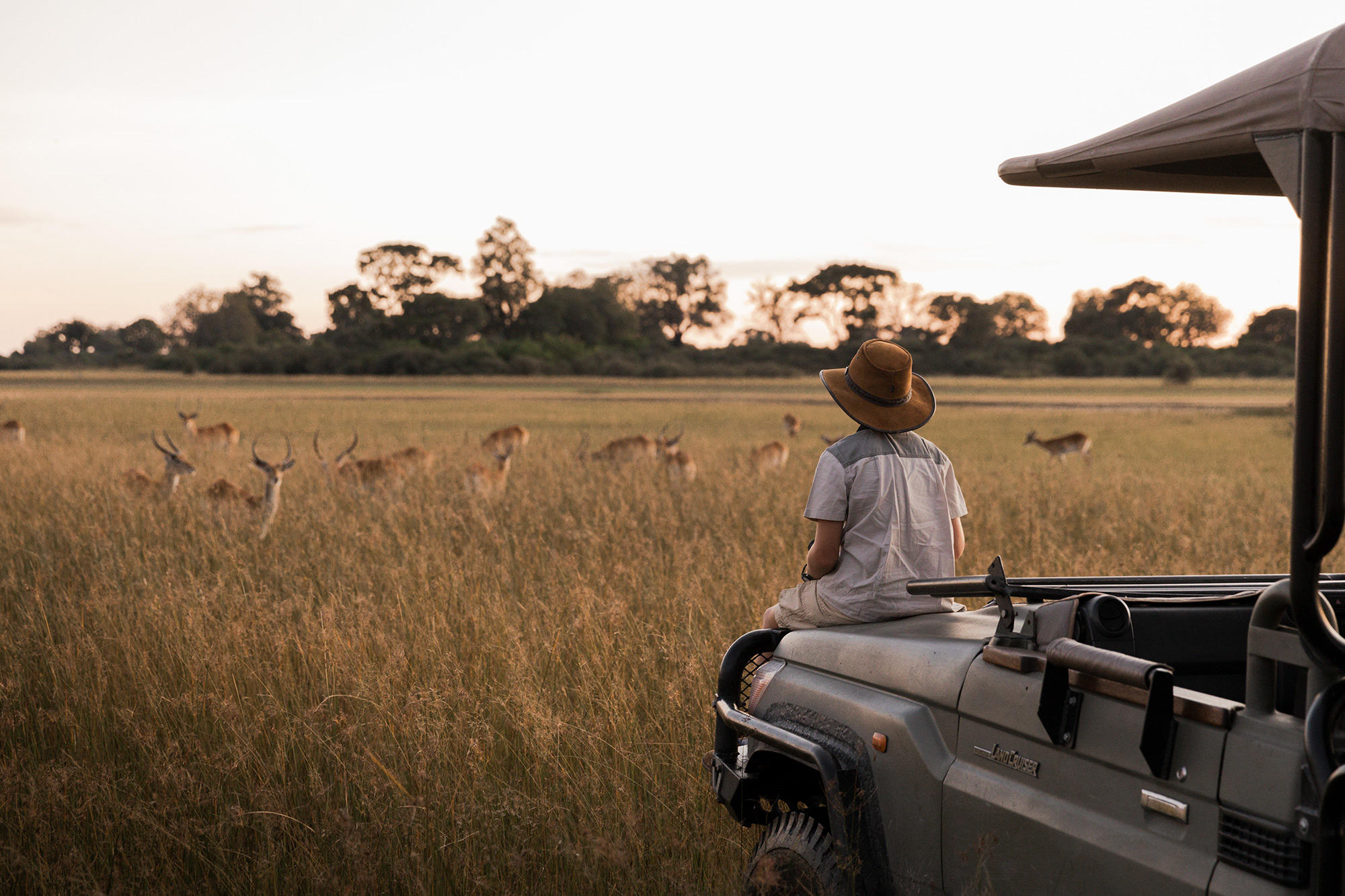 Luxury Tanzania ground support — The Luxury Africa DMC